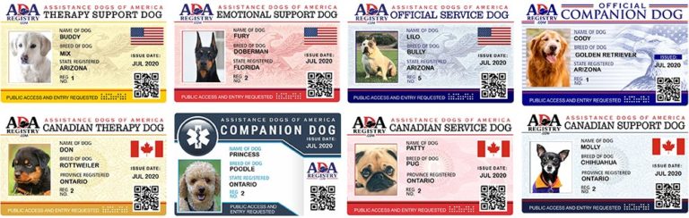service dog id card template free download